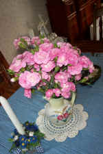 pink carnations4.jpg (197386 bytes)
